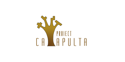 Catapulta Proiect